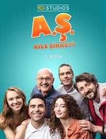 Aile Şirketi